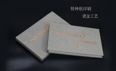 工业用的精装工程书籍
